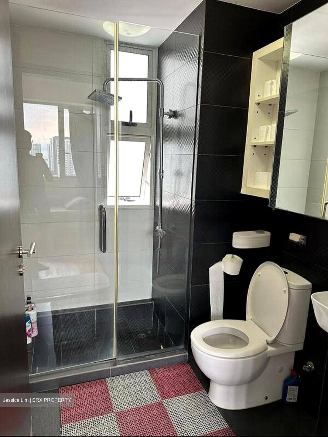 Haig 162 (D15), Apartment #437964321